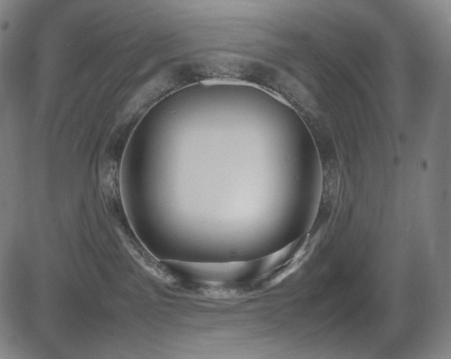 X0000085270141200703091401