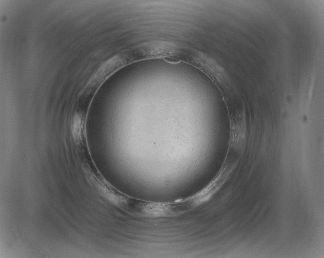 X0000085270142200703091401