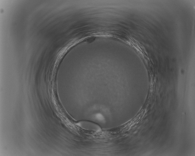 X0000085270145200703091401