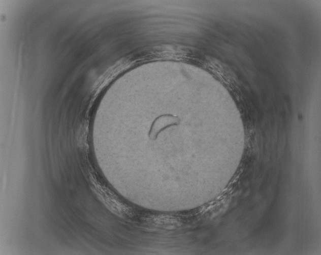 X0000085270146200703091401