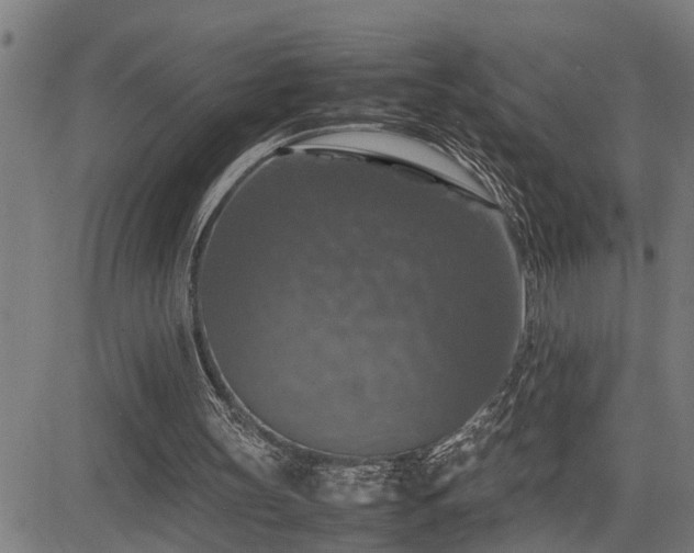 X0000085270147200703091401