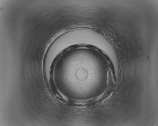 X0000085270148200703091401