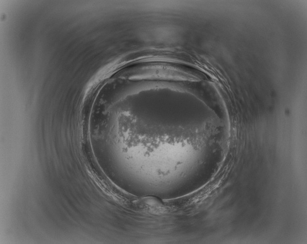 X0000085270149200703091401