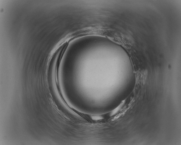 X0000085270150200703091401