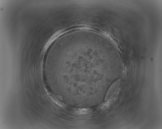 X0000085270151200703091401