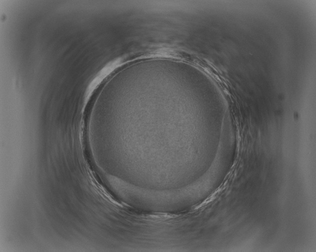 X0000085270152200703091401