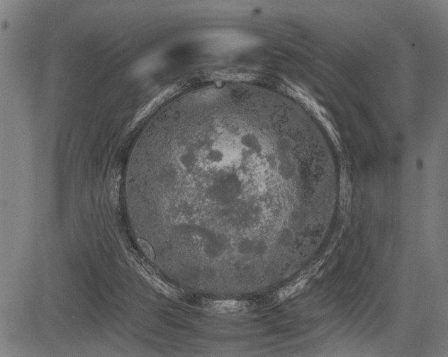 X0000085270153200703091401