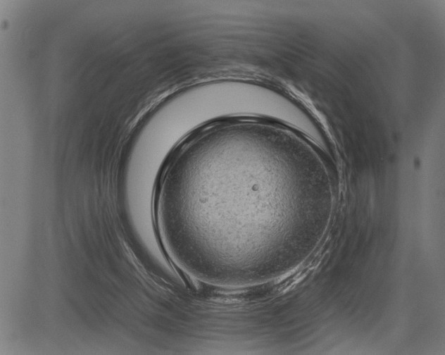 X0000085270154200703091401