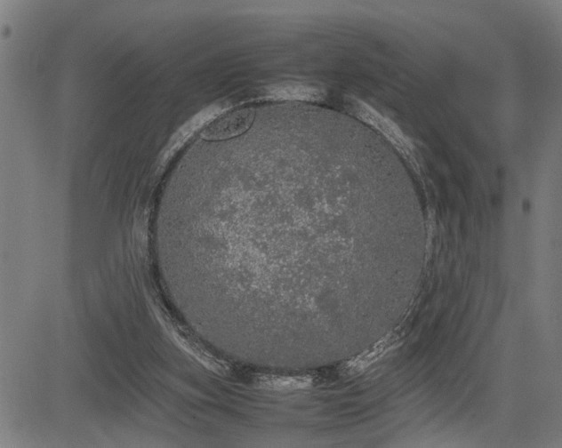 X0000085270155200703091401