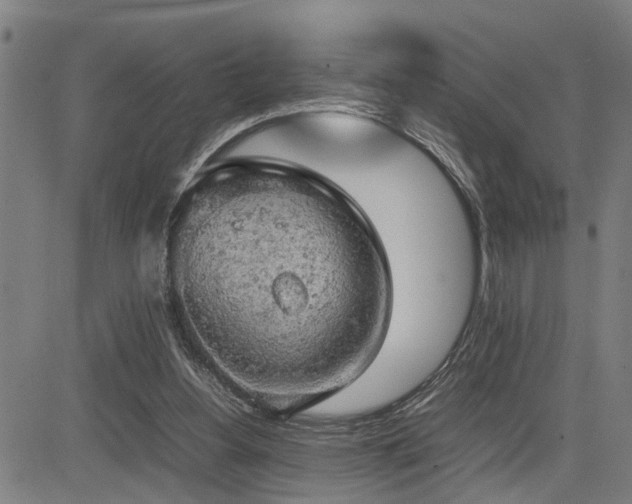 X0000085270156200703091401