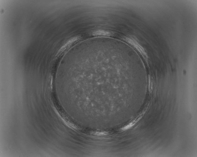 X0000085270157200703091401