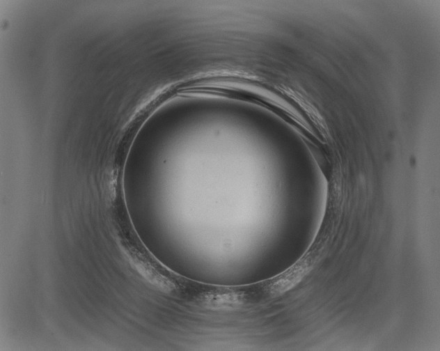 X0000085270160200703091401