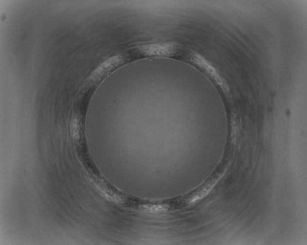 X0000085270161200703091401