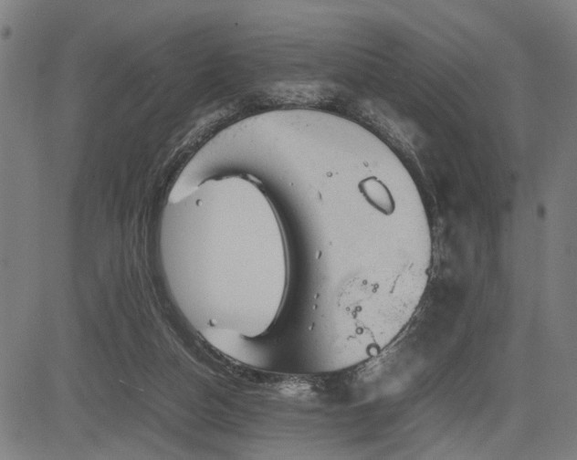 X0000085270162200703091401