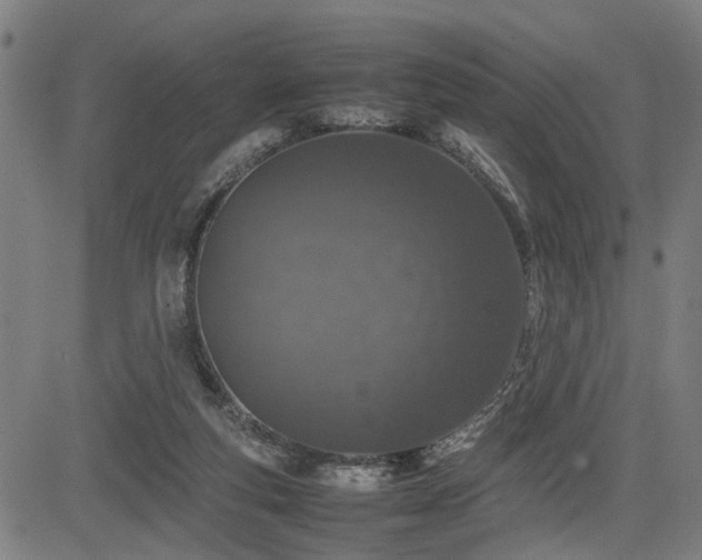 X0000085270163200703091401