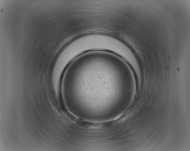 X0000085270164200703091401