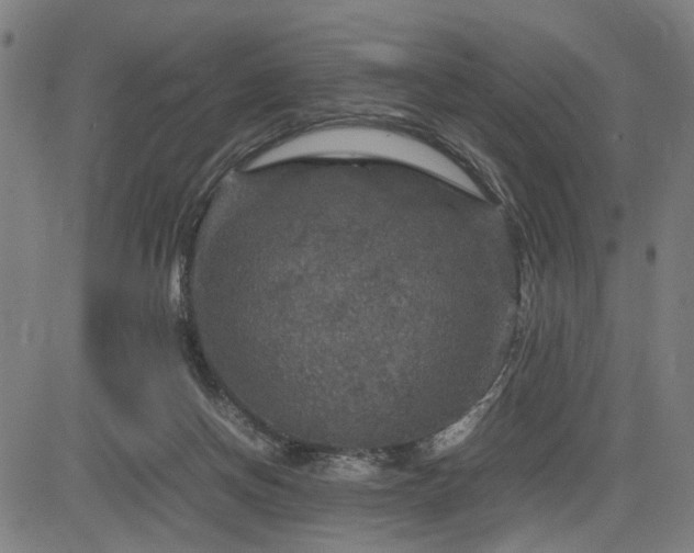 X0000085270166200703091401