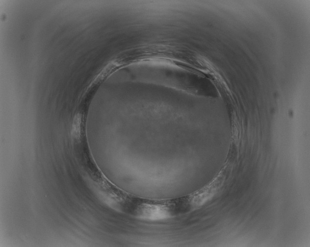 X0000085270167200703091401