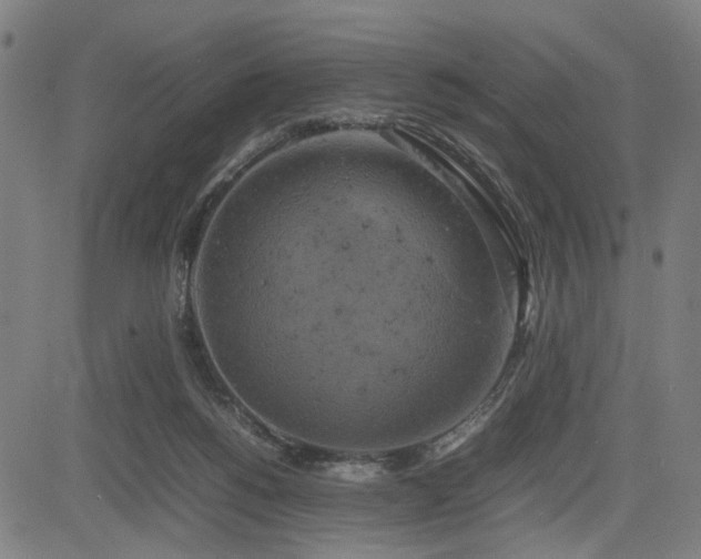 X0000085270168200703091401