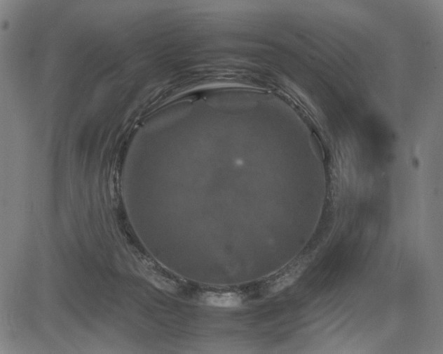 X0000085270169200703091401