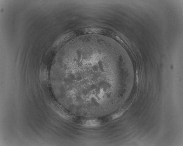 X0000085270173200703091401