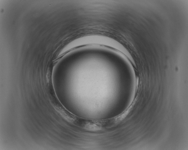 X0000085270174200703091401