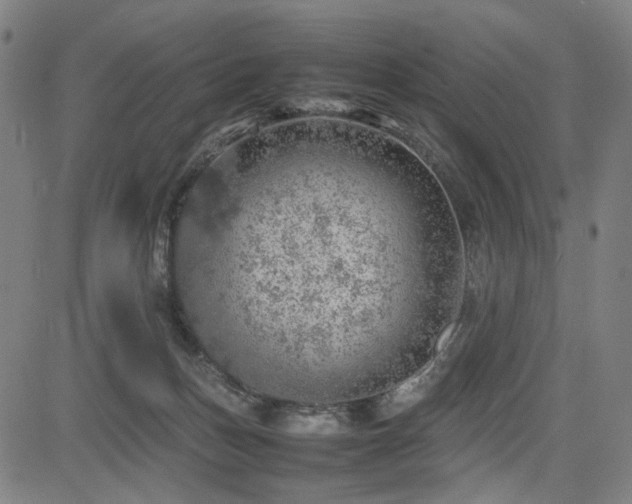 X0000085270175200703091401