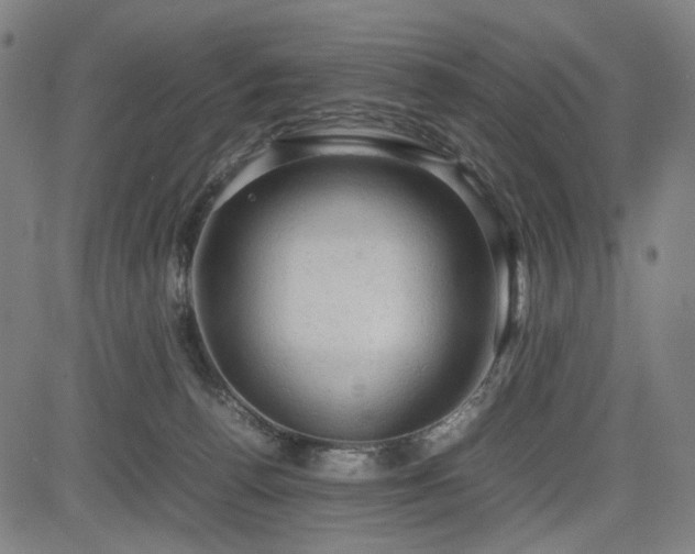 X0000085270176200703091401