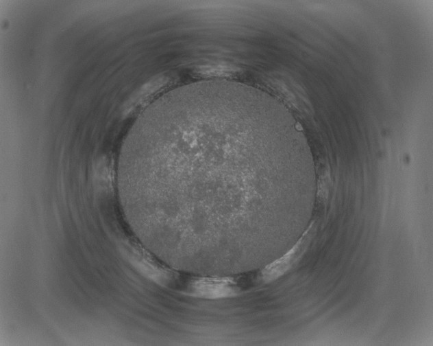 X0000085270179200703091401