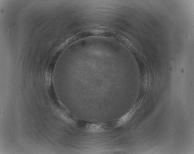 X0000085270180200703091401