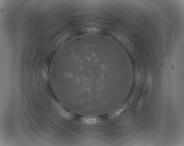 X0000085270181200703091401