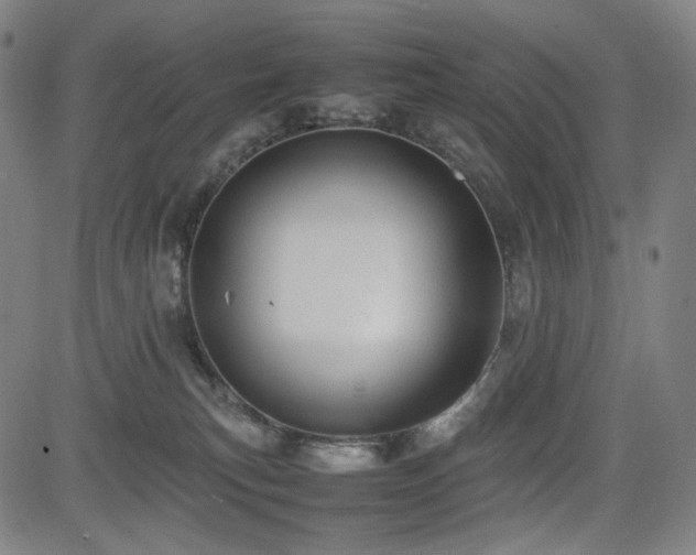 X0000085270183200703091401