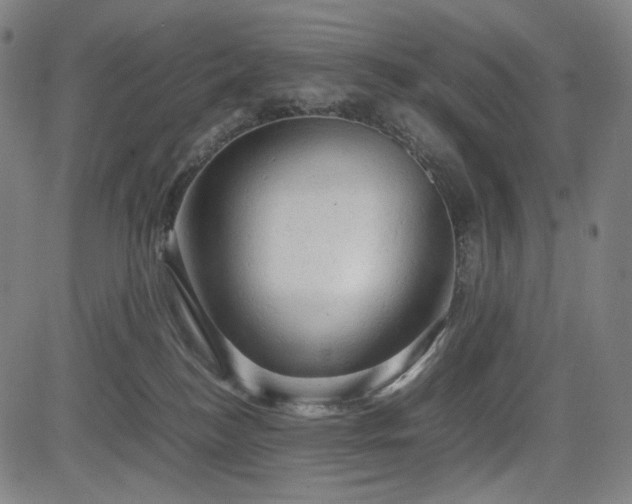 X0000085270184200703091401