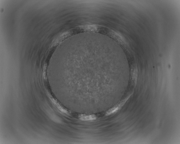 X0000085270185200703091401