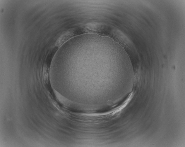 X0000085270186200703091401