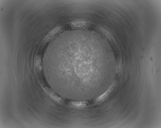 X0000085270187200703091401