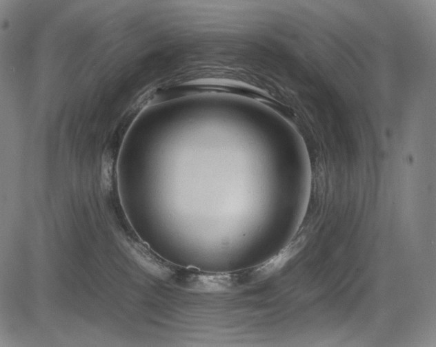 X0000085270188200703091401