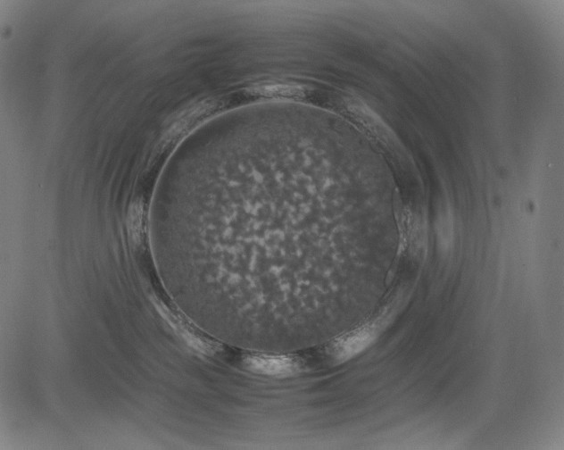 X0000085270189200703091401