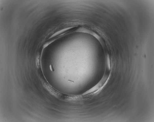 X0000085270190200703091401