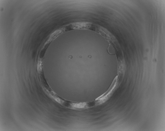 X0000085270191200703091401