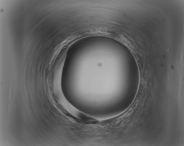 X0000085270193200703091401