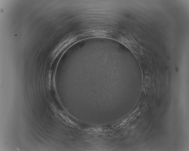 X0000085270194200703091401