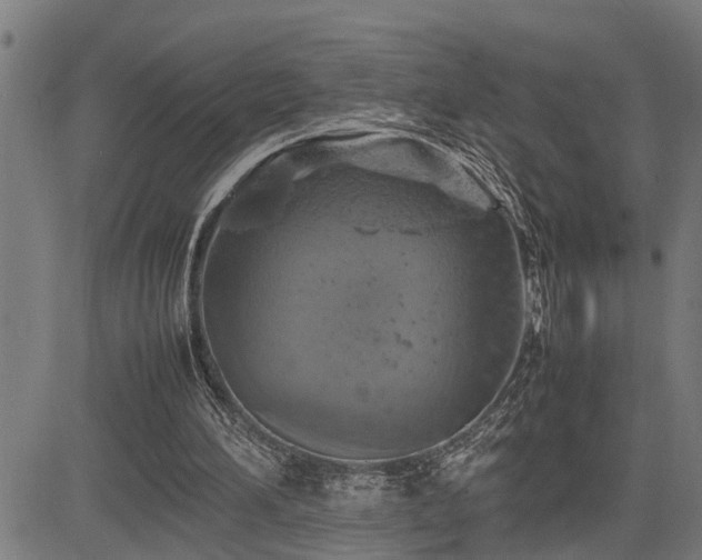 X0000085270196200703091400