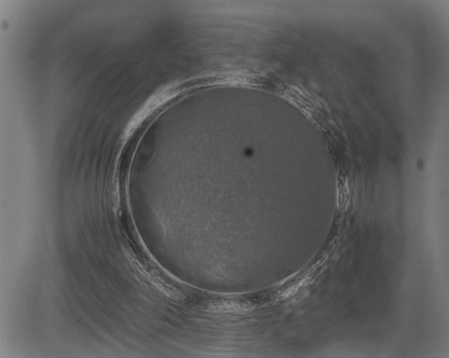 X0000085270198200703091400