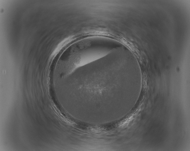 X0000085270199200703091400