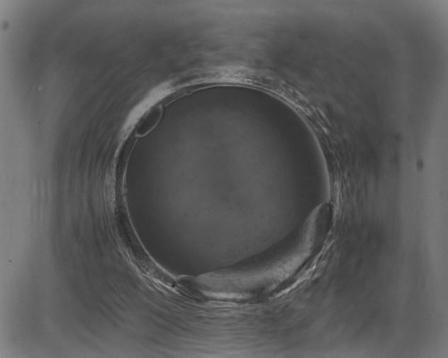 X0000085270200200703091400