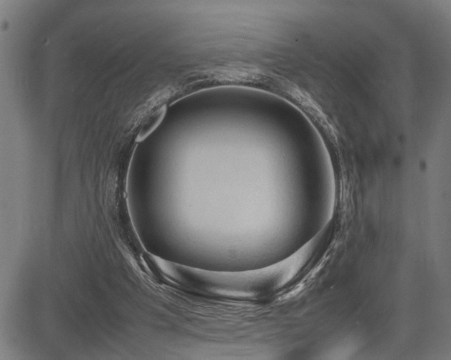 X0000085270201200703091400