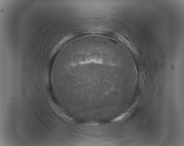 X0000085270203200703091400