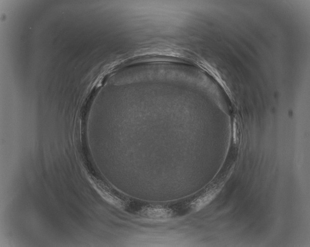 X0000085270205200703091400