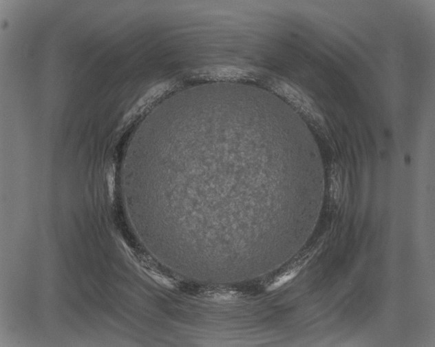 X0000085270206200703091400